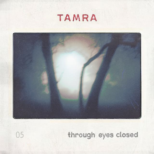 Through Eyes Closed